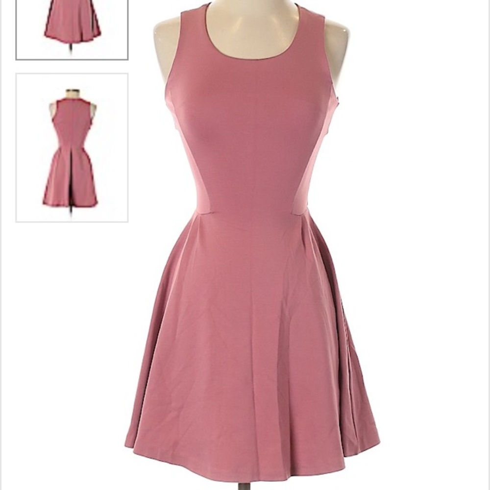 Bar III pink skater dress